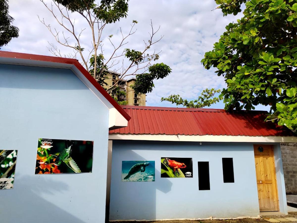 Hotel Catappa Jacó Buitenkant foto